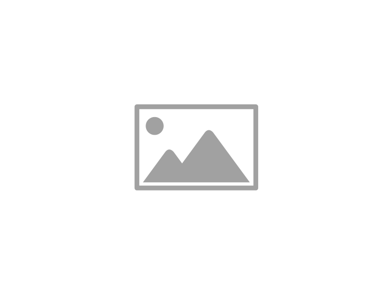 plh11